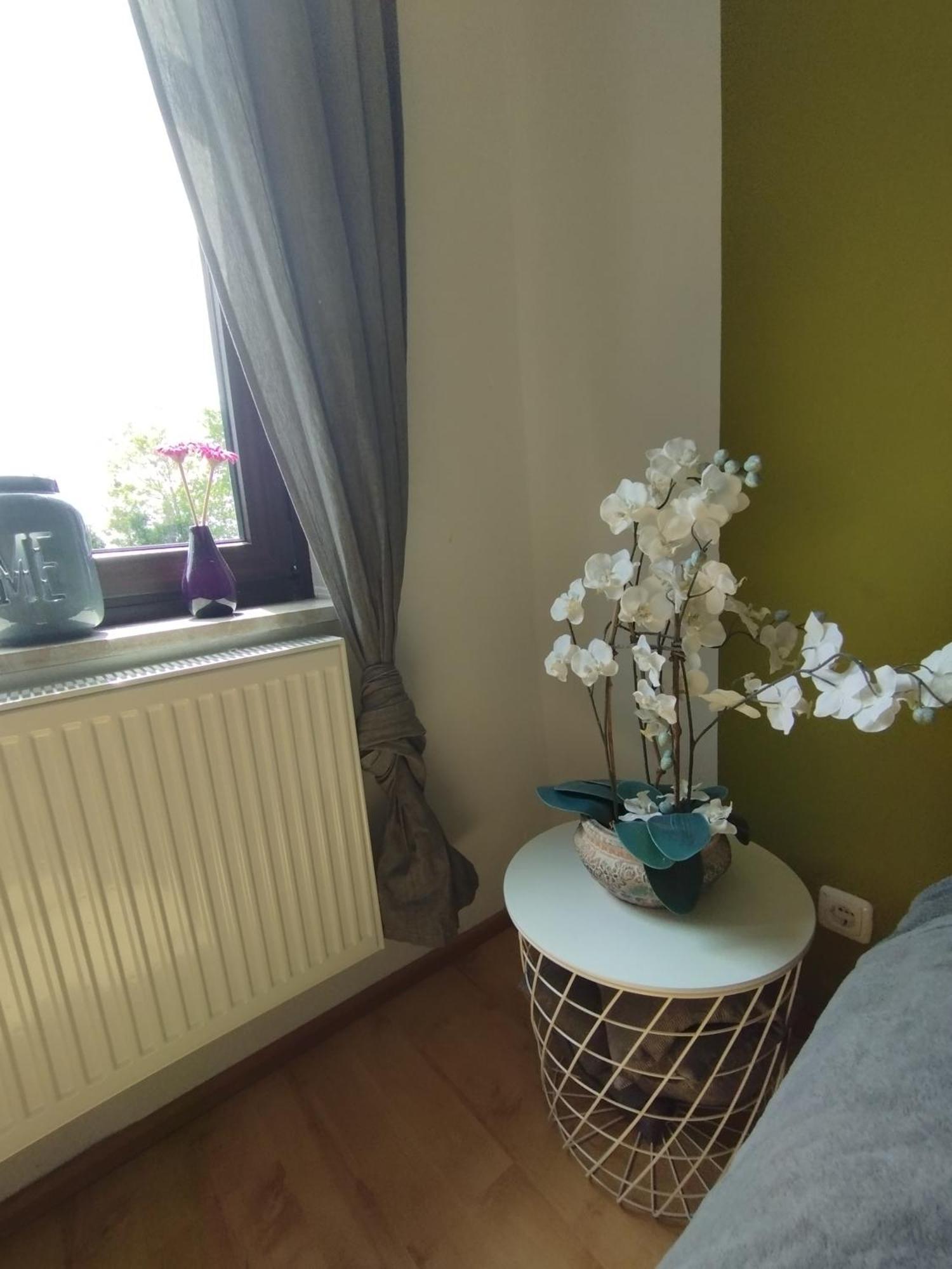 Appartement Sunny Side à Kiel Extérieur photo